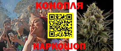 молекула духа Краснознаменск