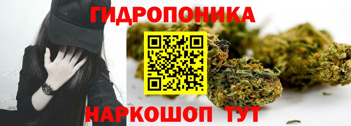 Бошки марихуана индика Балтийск